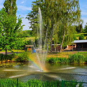 Bild des Veranstaltungsortes
