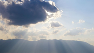 Bild der Veranstaltung