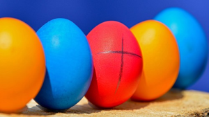 Bild der Veranstaltung