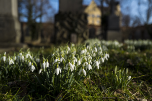 Bild der Veranstaltung