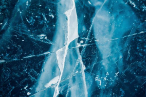 Bild der Veranstaltung