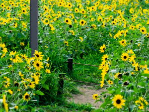 Bild der Veranstaltung