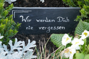 Bild der Veranstaltung