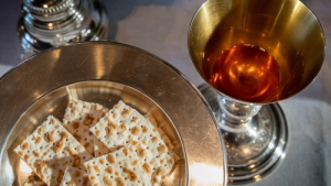 Bild der Veranstaltung