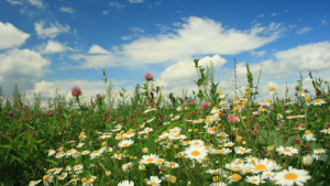 Bild der Veranstaltung