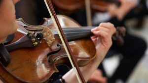 Bild der Veranstaltung