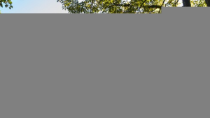 Bild der Veranstaltung