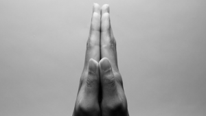 Bild der Veranstaltung