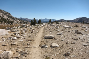 Bild der Veranstaltung