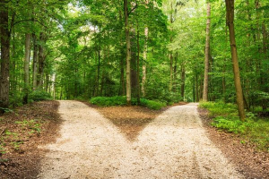 Bild der Veranstaltung