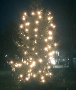 Bild der Veranstaltung