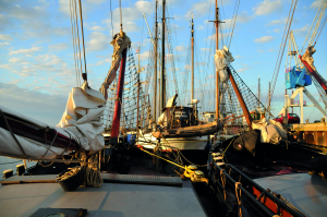 Bild der Veranstaltung