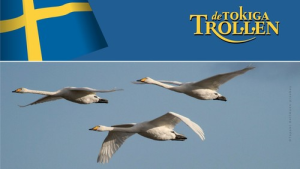 Bild der Veranstaltung