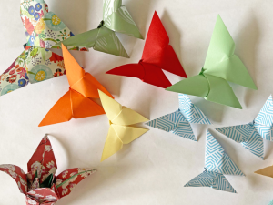 Bild der Veranstaltung