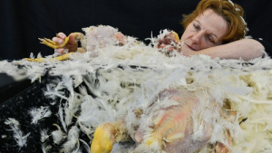 Bild der Veranstaltung