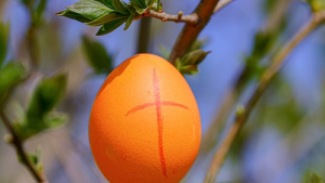 Bild der Veranstaltung