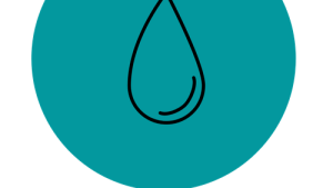 Bild der Veranstaltung