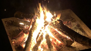 Bild der Veranstaltung