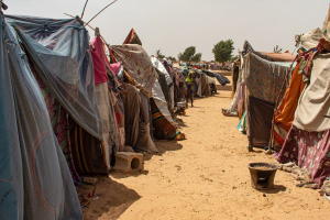 Bild der Veranstaltung