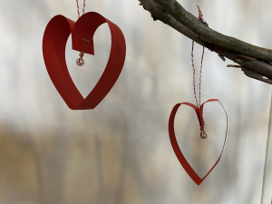 Bild der Veranstaltung