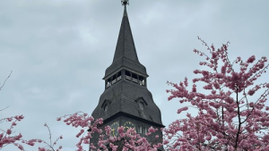 Bild der Veranstaltung