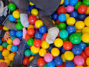 Bild der Veranstaltung