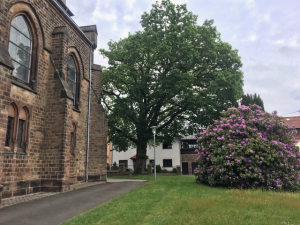 Bild der Veranstaltung