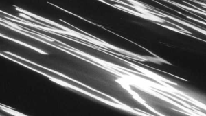 Bild der Veranstaltung