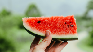 Bild der Veranstaltung