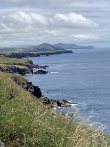 Bild der Veranstaltung