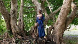 Bild der Veranstaltung