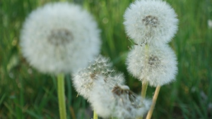 Bild der Veranstaltung