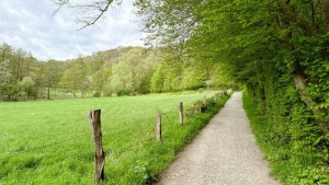 Bild der Veranstaltung