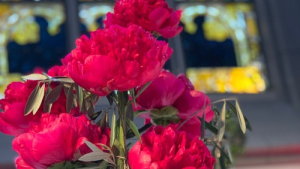 Bild der Veranstaltung