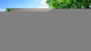 Bild der Veranstaltung