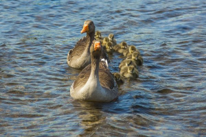 Bild der Veranstaltung