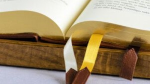 Bild der Veranstaltung