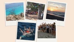 Bild der Veranstaltung