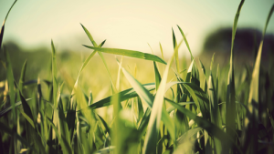 Bild der Veranstaltung