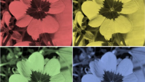 Bild der Veranstaltung