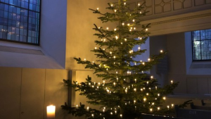 Bild der Veranstaltung