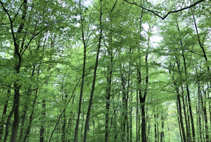 Bild der Veranstaltung