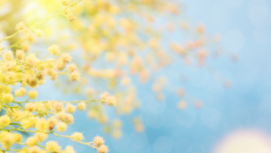 Bild der Veranstaltung