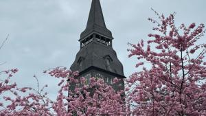 Bild der Veranstaltung