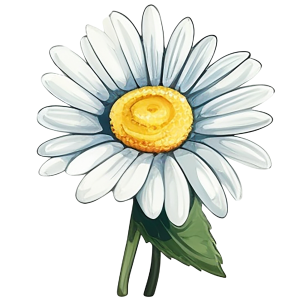 Bild der Veranstaltung