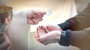 Bild der Veranstaltung