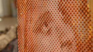 Bild der Veranstaltung