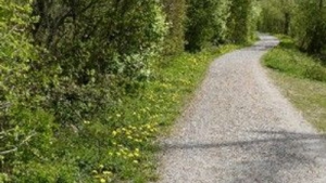 Bild der Veranstaltung