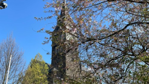 Bild der Veranstaltung