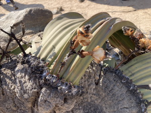 Bild der Veranstaltung